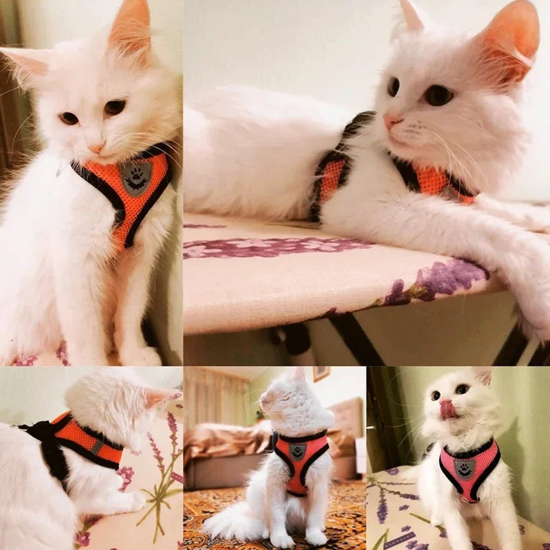 Pet Secure- Breathable and Adjustable Polyester Vest Harness with Collar Suitable for Cats ,Puppies Small Medium Dog
